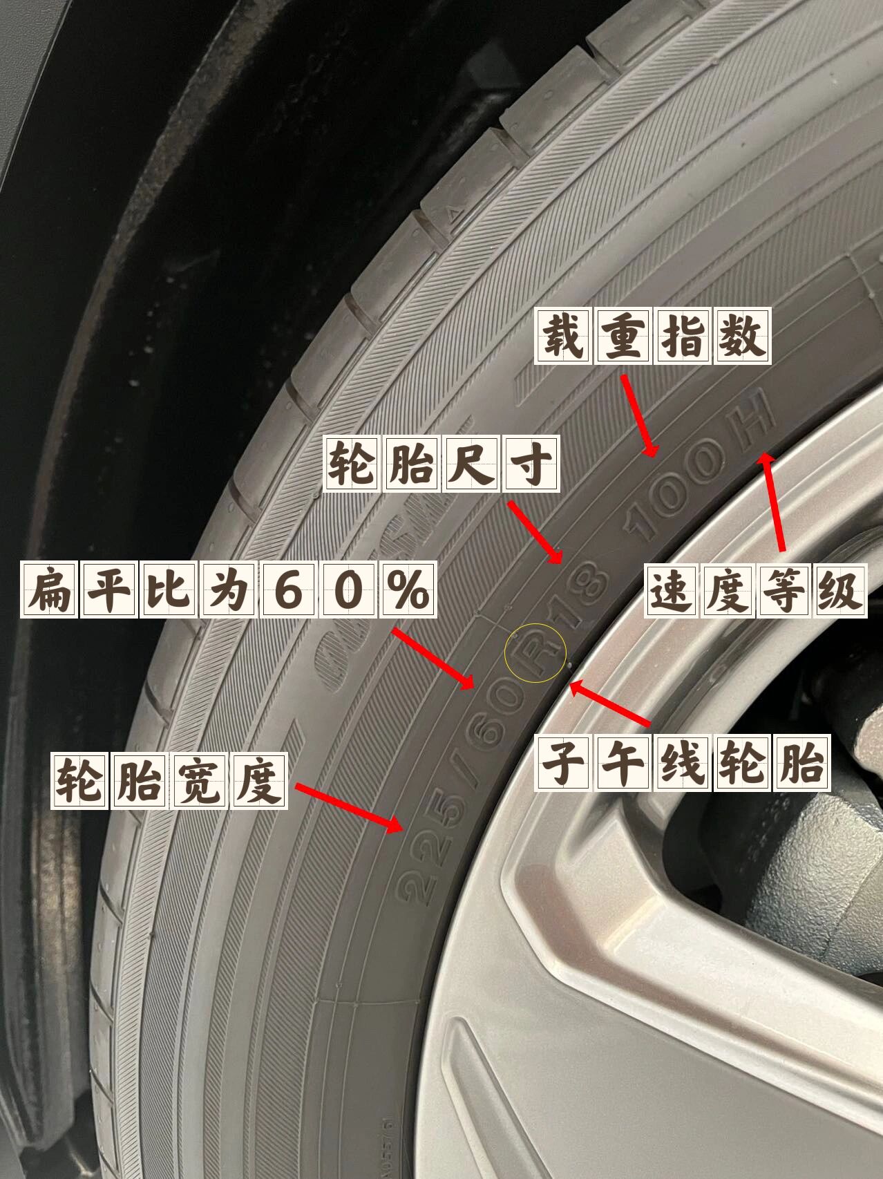 山东省公共资源交易中心(图1)
